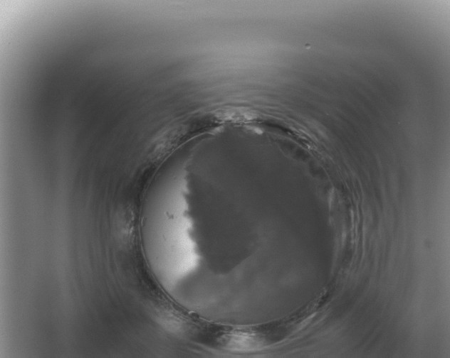 X0000062850507200601171515