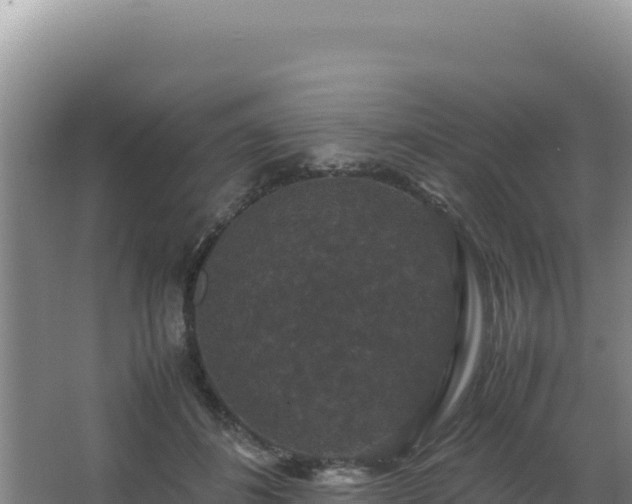 X0000062850508200601171515