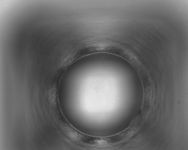 X0000062850509200601171515