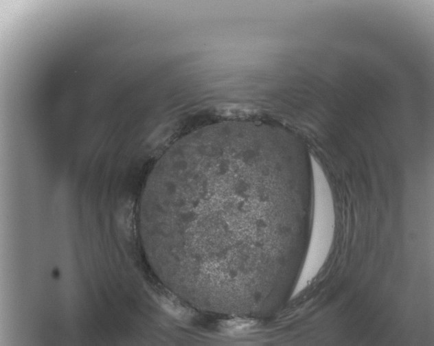 X0000062850511200601171514