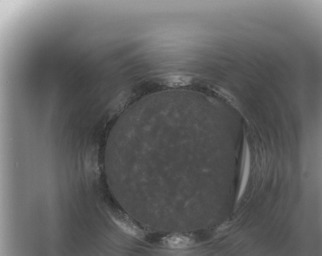 X0000062850512200601171514