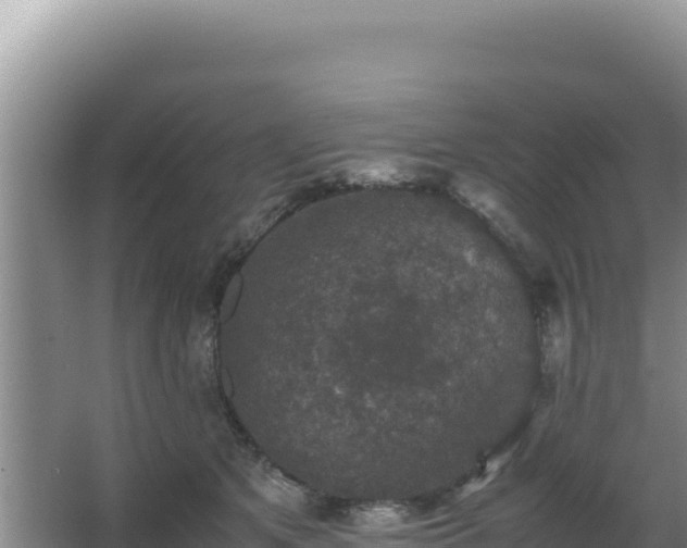 X0000062850513200601171514