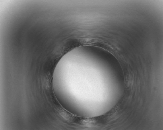 X0000062850515200601171514