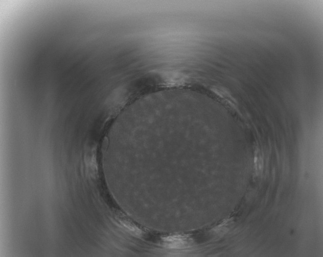 X0000062850516200601171514