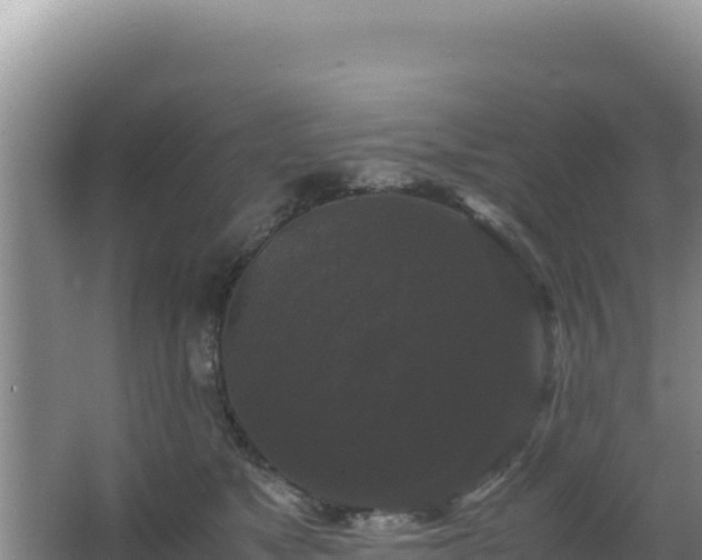 X0000062850517200601171514