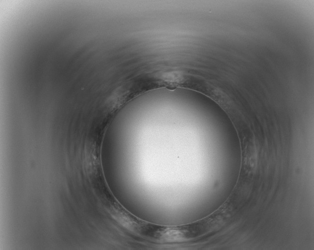 X0000062850518200601171514