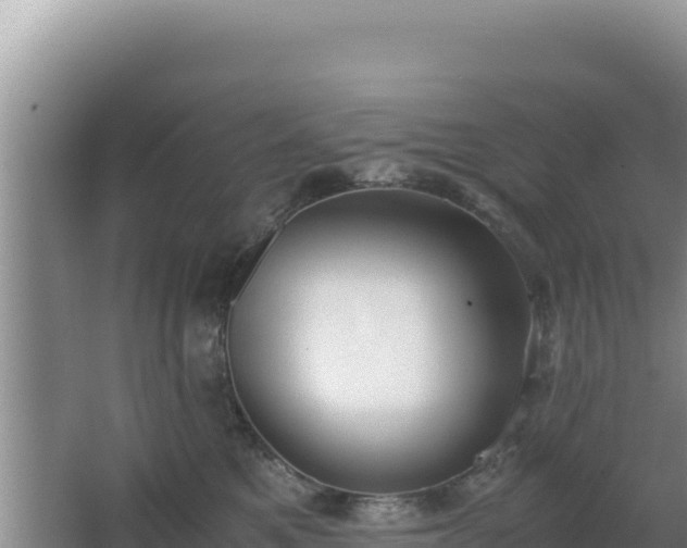 X0000062850521200601171514