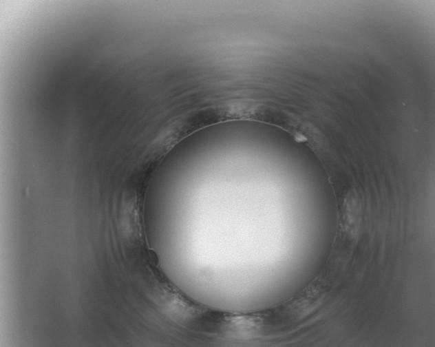 X0000062850522200601171514