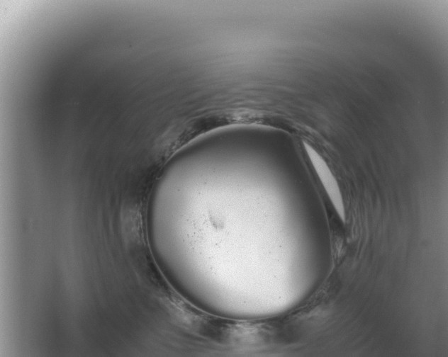 X0000062850523200601171514