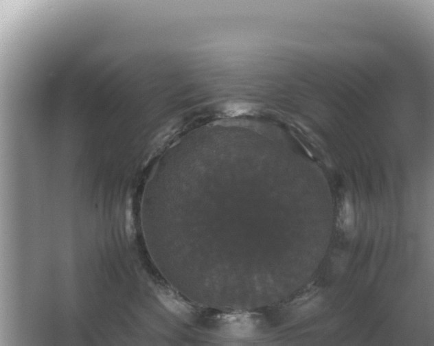 X0000062850524200601171514