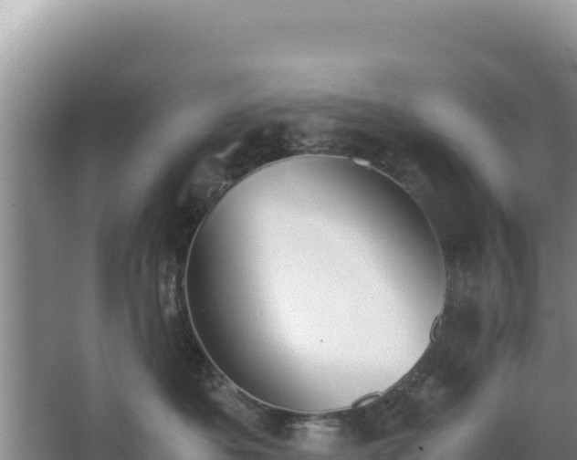 X0000062850525200601171514