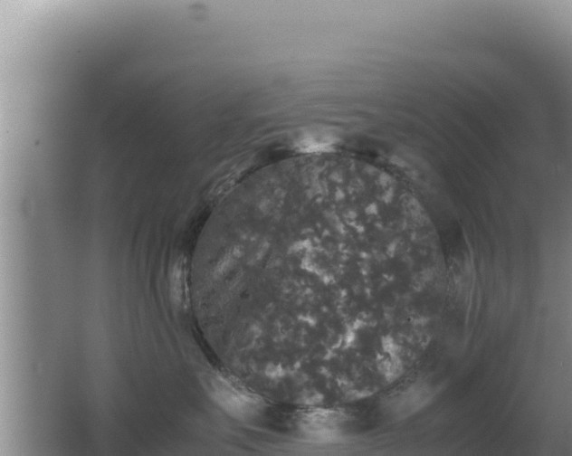 X0000062850527200601171514