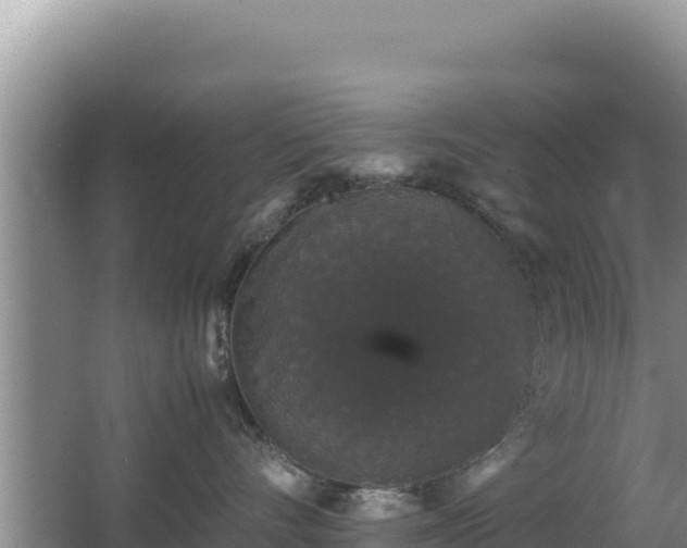 X0000062850528200601171514