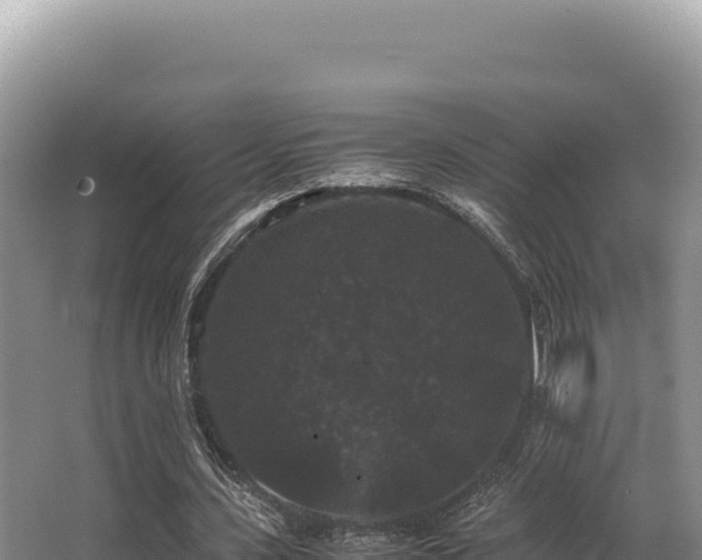 X0000062850531200601171513