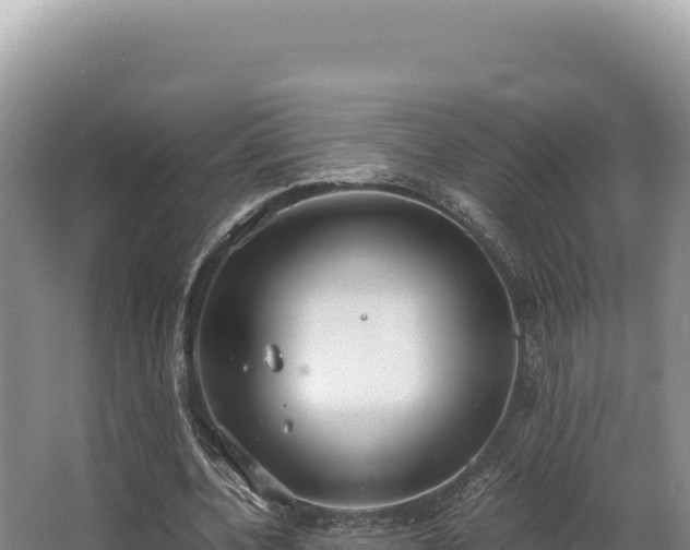 X0000062850532200601171513