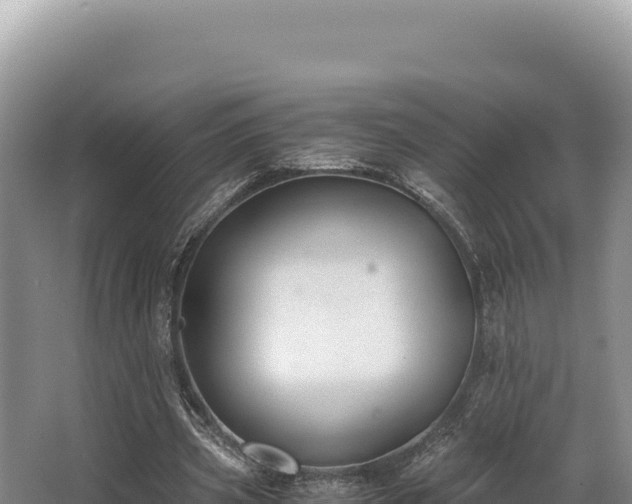 X0000062850533200601171513