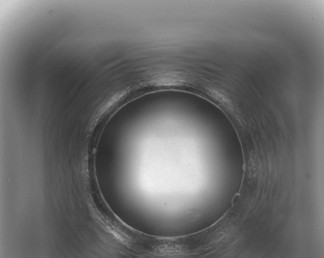 X0000062850535200601171514