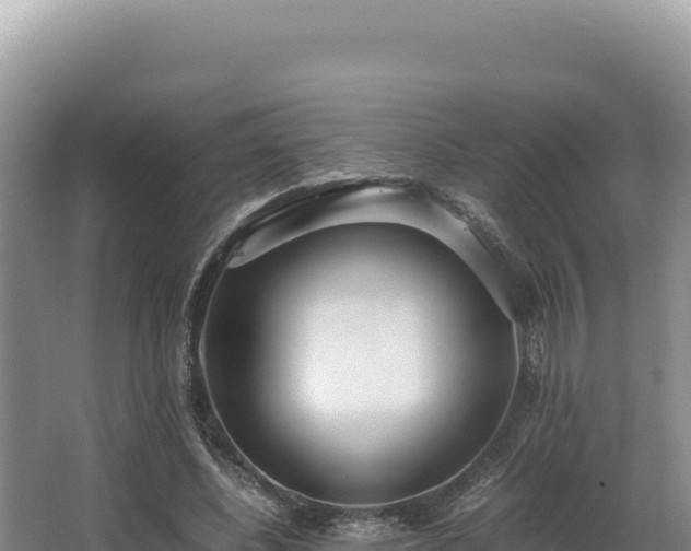 X0000062850540200601171514