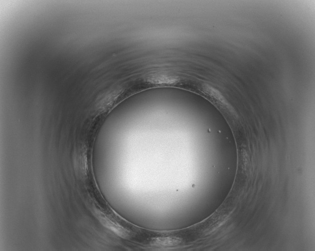 X0000062850541200601171514