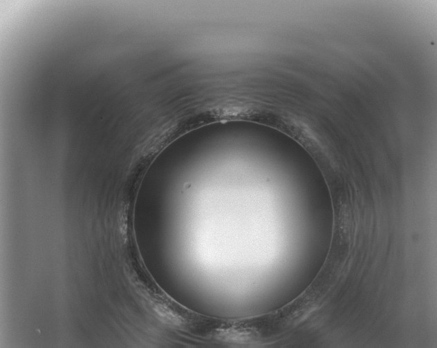 X0000062850545200601171514