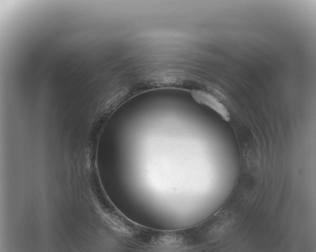 X0000062850546200601171514