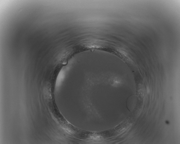 X0000062850547200601171514