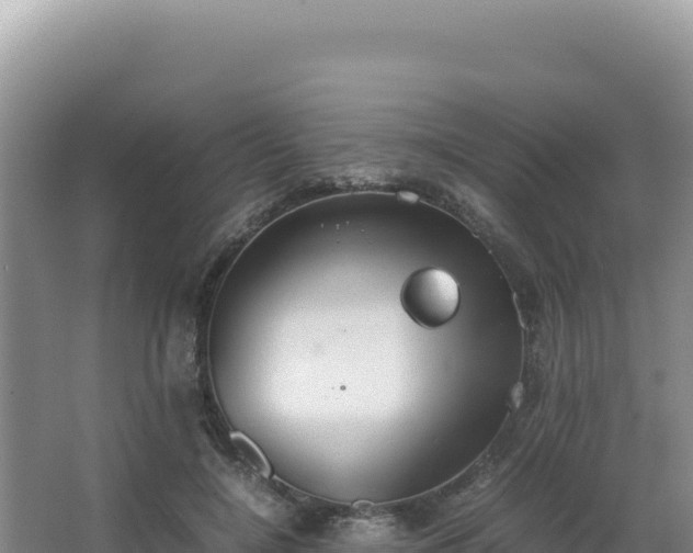 X0000062850548200601171514