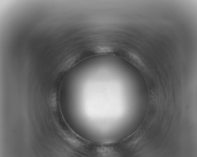 X0000062850549200601171514