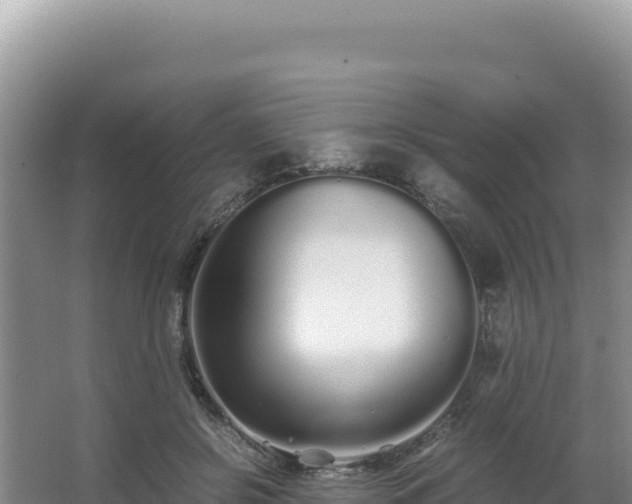 X0000062850550200601171514