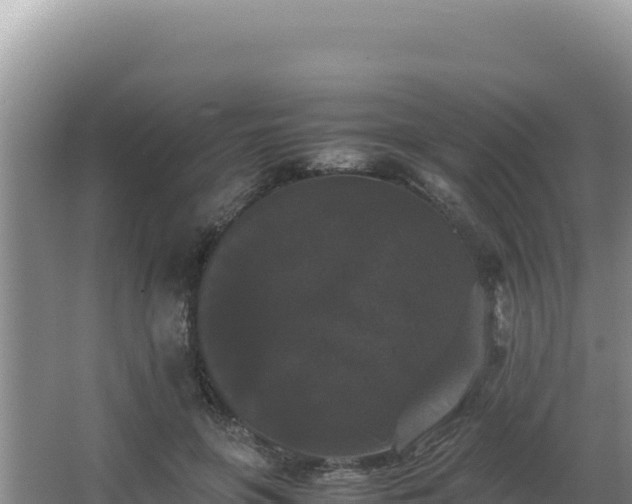 X0000062850551200601171514