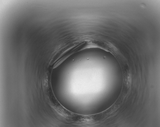 X0000062850552200601171514