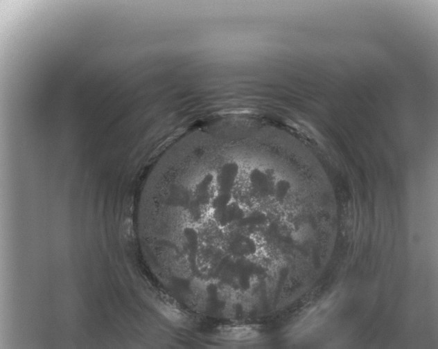 X0000062850553200601171514