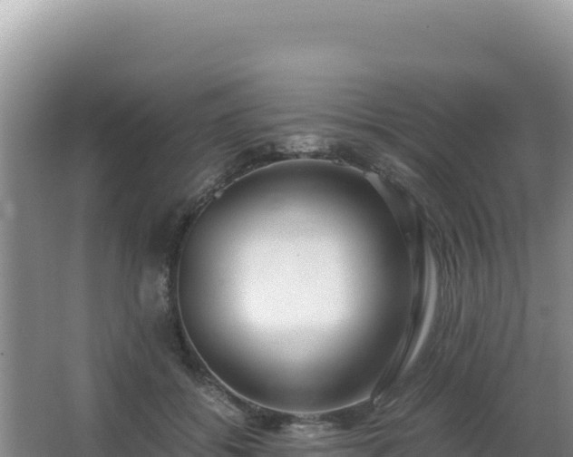 X0000062850556200601171514