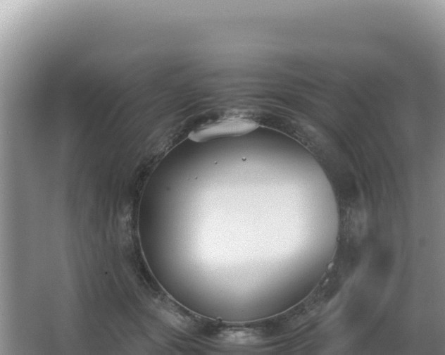 X0000062850557200601171514