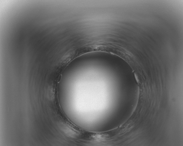 X0000062850558200601171514