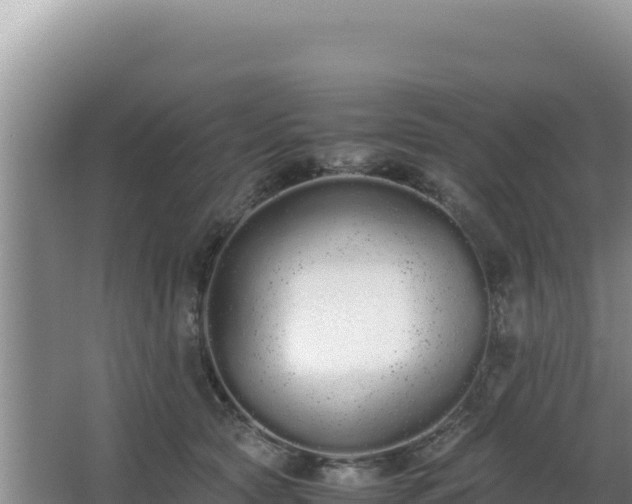 X0000062850561200601171514