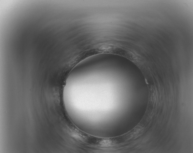 X0000062850562200601171514