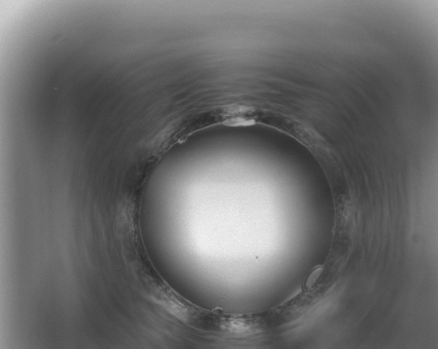 X0000062850565200601171514