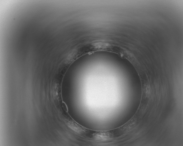 X0000062850567200601171514