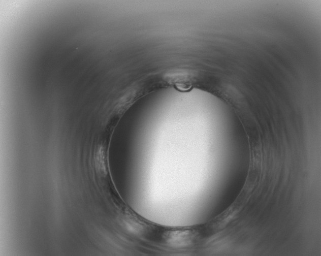 X0000062850575200601171514