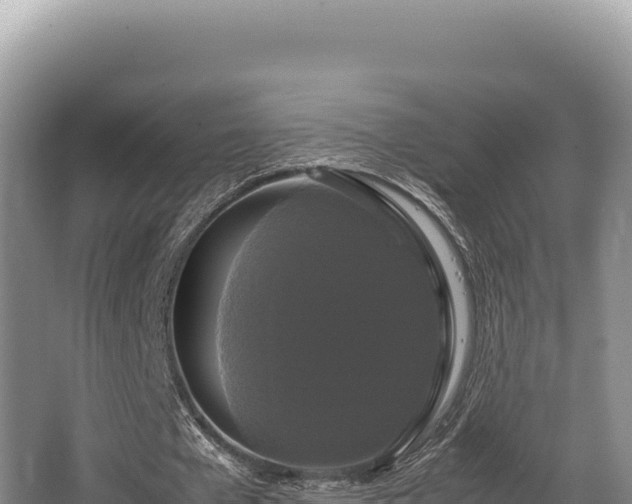 X0000062850577200601171513