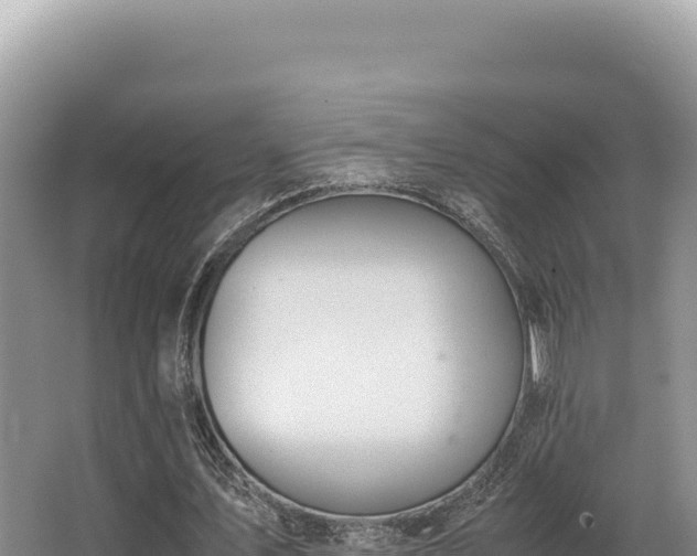 X0000062850579200601171513