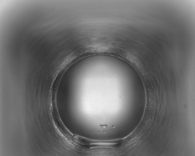 X0000062850582200601171513