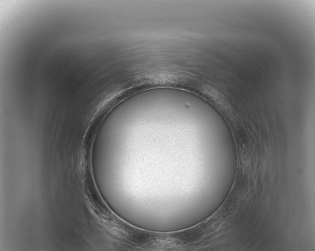 X0000062850583200601171513