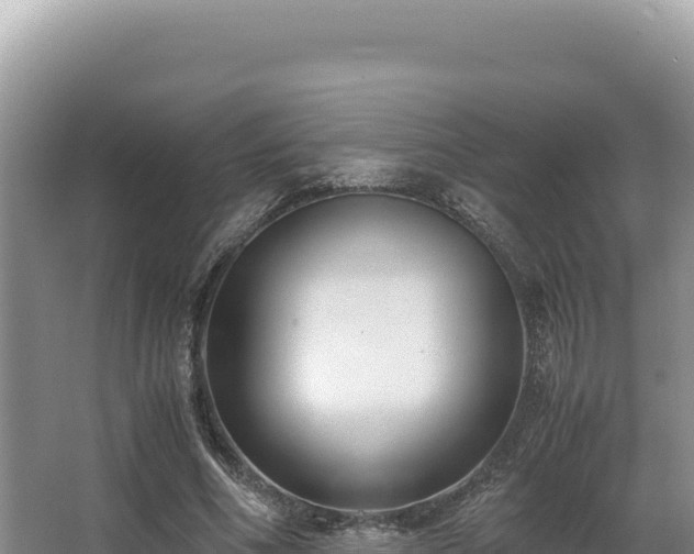 X0000062850586200601171513