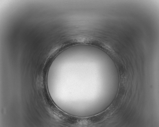 X0000062850587200601171513