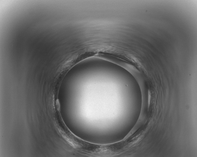 X0000062850589200601171513