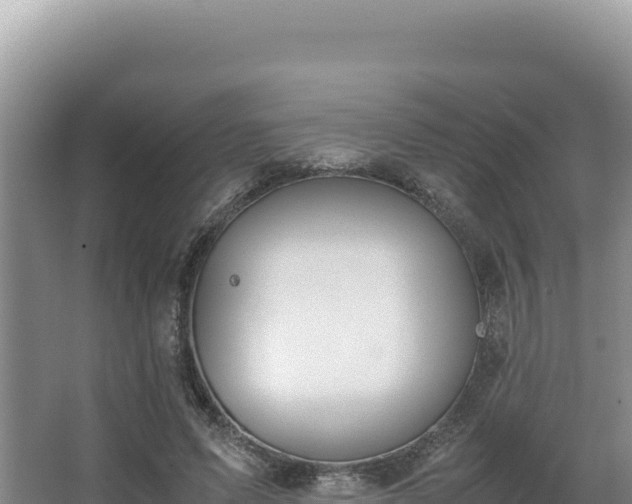 X0000062850591200601171513