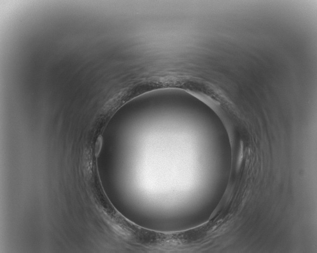 X0000062850593200601171513