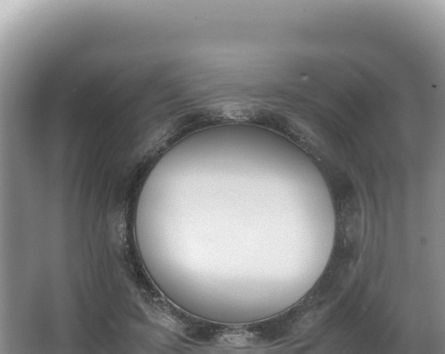 X0000062850595200601171513